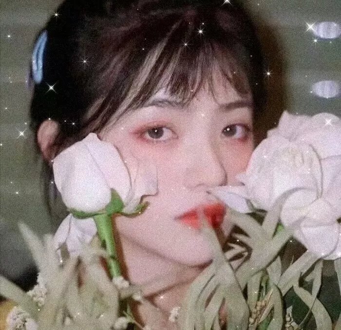 萝蕾莱